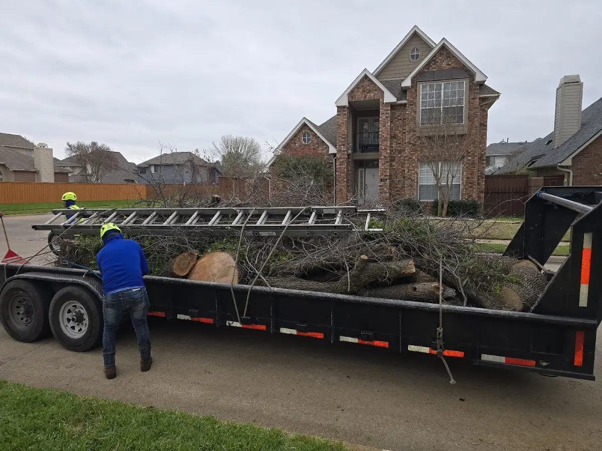 Expert Tree Fertilization with proper safety equipment in Reader